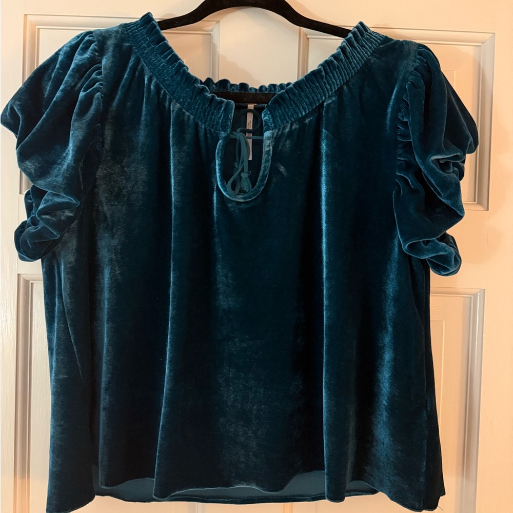 Free People Velvet Blouse- Perfect condition!!